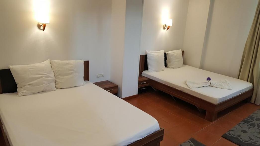Hotel Viva Ploieşti Extérieur photo